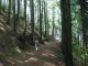 Appennino etrusco_celtico  _3..jpg