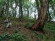Appennino etrusco_celtico  _5.jpg