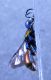 DSCF1624.JPG