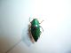 DSC00521.JPG