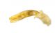Cryptocephalus_g_s.JPG