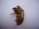 DSC00660.JPG