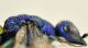 Criside-Cesine-2-lat.jpg