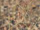 DSCN8096.JPG