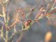 DSCN8106.JPG