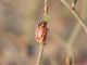 DSCN8098.JPG