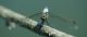 LIBELLULA-10-web.jpg