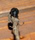 DSC00247-web.jpg
