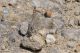DSC_1868pbase.jpg