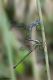 DSC_2235pbase.jpg