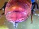 DSCF1714.JPG