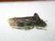 DSCN8296.JPG