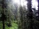 DSCN7395_1124.JPG