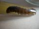 DSCN1778.JPG