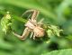 IMG_16019m.jpg