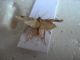 DSCN1785.JPG