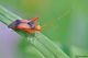 DSC_4299pbase.jpg