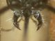 DSCN8483.JPG