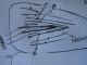 DSC00346.JPG