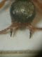 DSCN8496.JPG