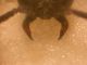 DSCN8492.JPG