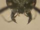DSCN8502.JPG