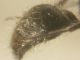 DSCN8503.JPG