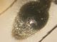 DSCN8506.JPG