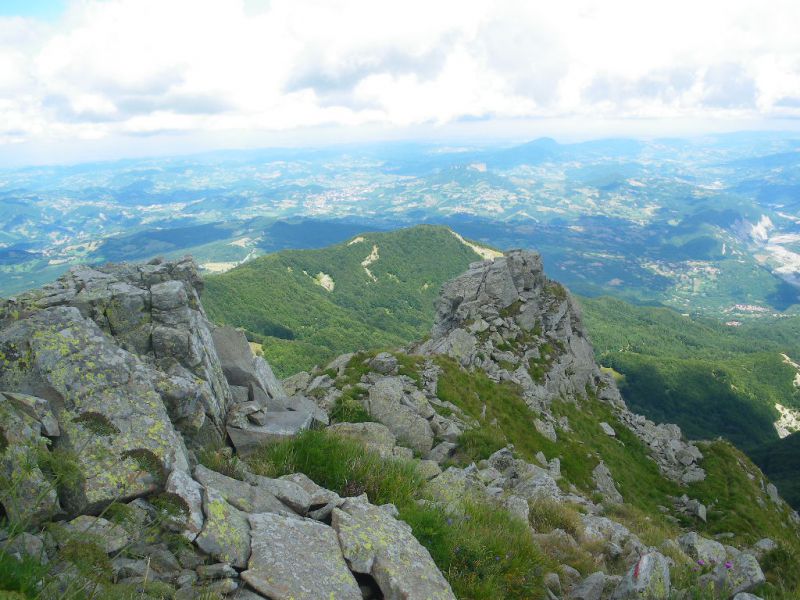 154.JPG