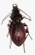 DSCN2058.JPG