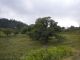 DSCN2028.JPG