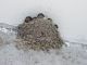 DSCF1746.JPG