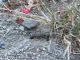 DSCF1721.JPG