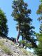 DSCF1738.JPG
