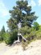 DSCF1764.JPG