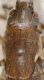 Orthoptera-pronotum-up.jpg