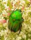 DSCN7500_1152.JPG