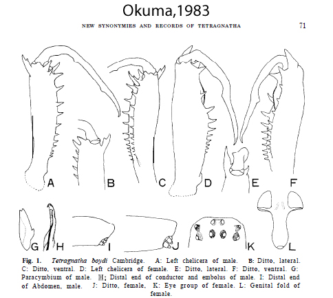 Okuma-table.jpg