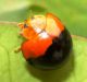 DSCN7563_1176.JPG