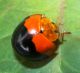DSCN7571_1179.JPG