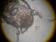 DSCN2063.jpg