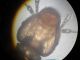 DSCN2095.jpg