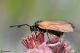 DSC_5376pbase.jpg