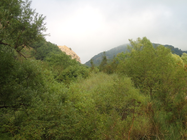 DSC00388.JPG