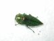 DSCN8543.JPG