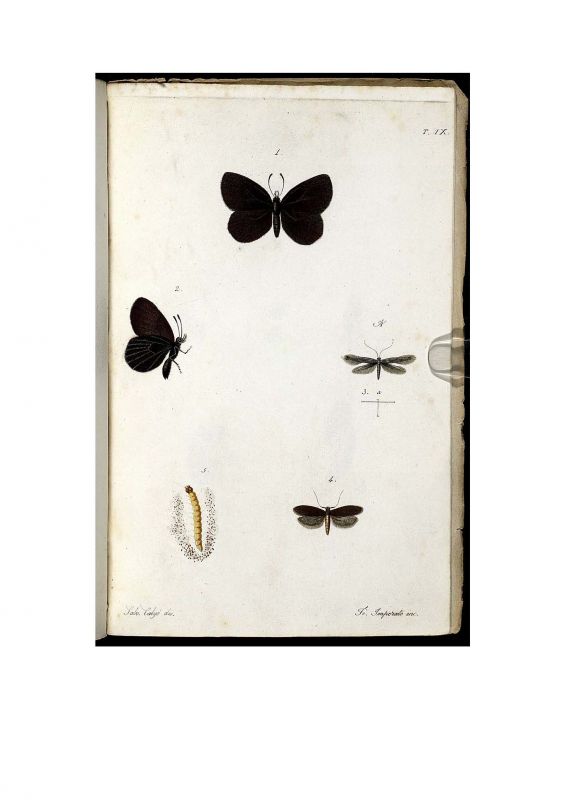 Pagine da PPN640475434_LOG_0003-3-s.jpg