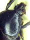 DSCN7740_1346.JPG