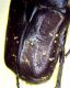 DSCN7743_1349.JPG