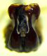 DSCN7683_1289.JPG
