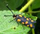 DSCN7751_1357.JPG